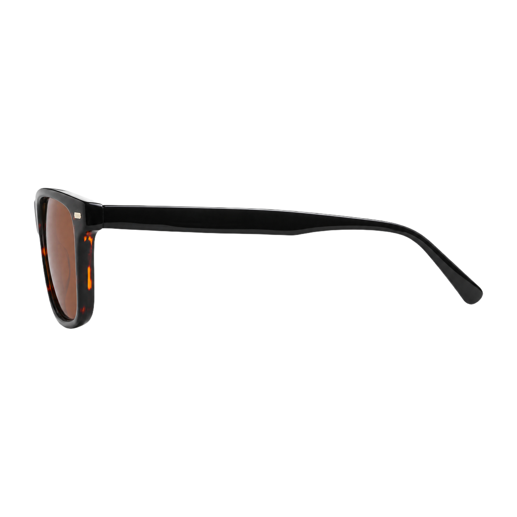 MV Fenwick — Square Acetate Sunglasses side