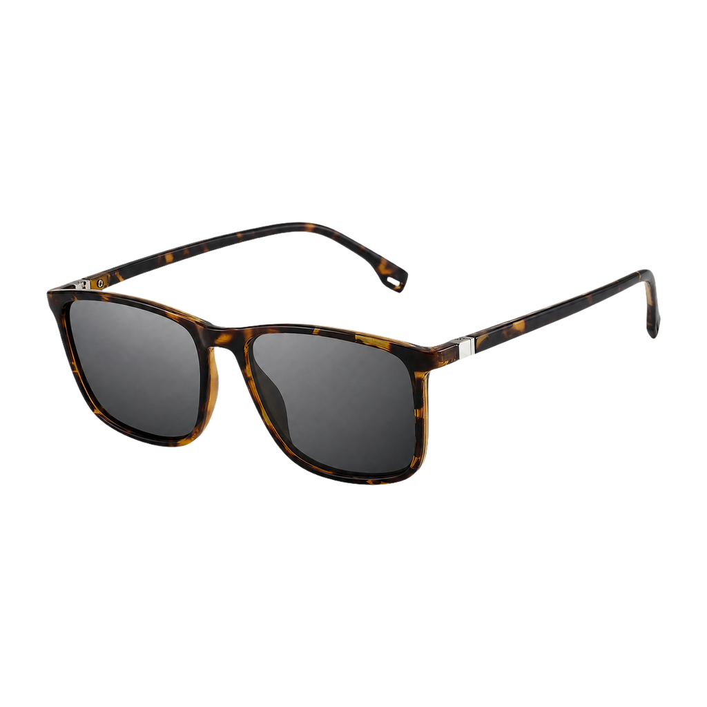 MV Cortez — Browline Sunglasses Leopard
