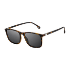 MV Cortez — Browline Sunglasses Leopard